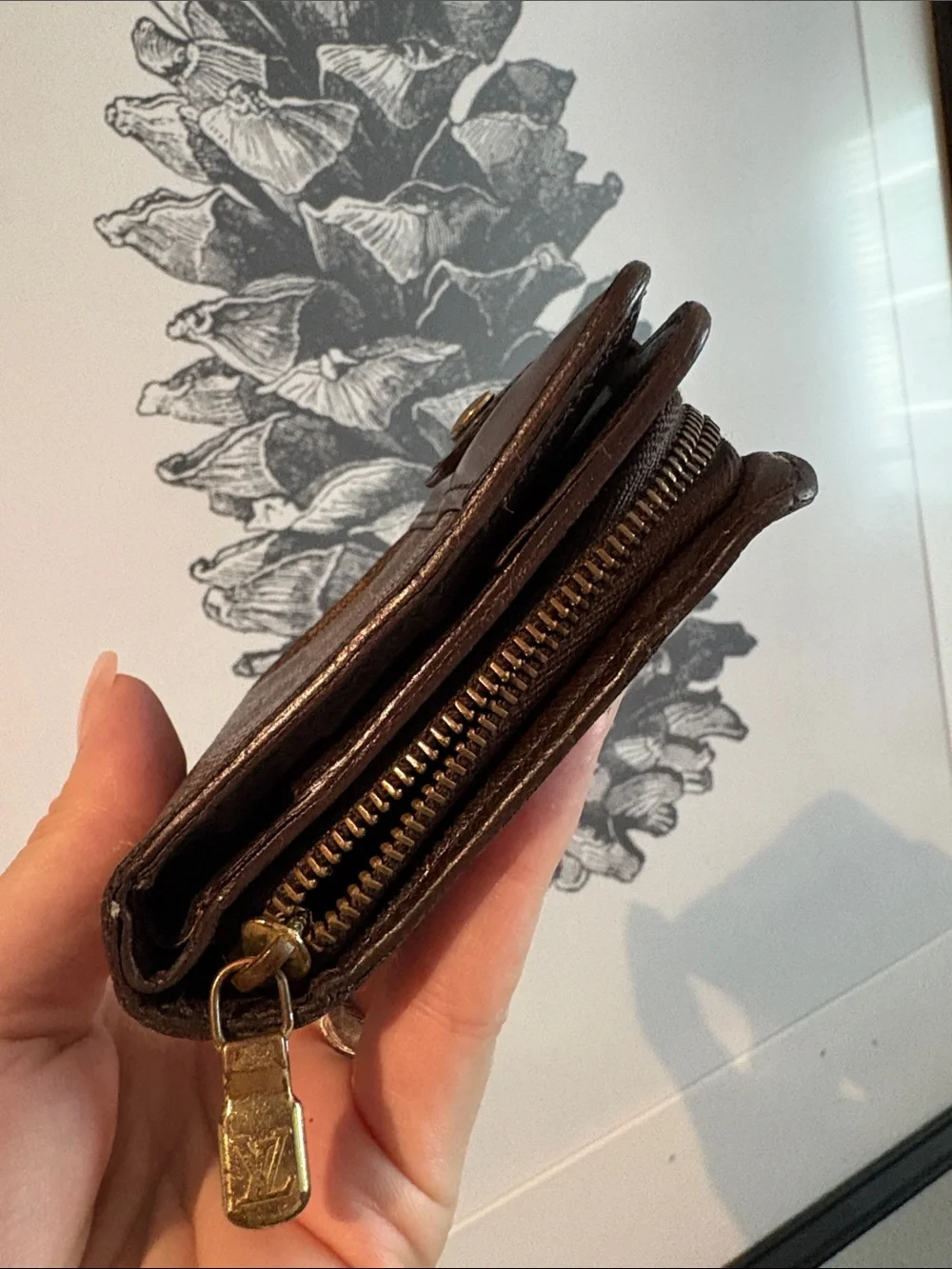 Louis Vuitton classic brown